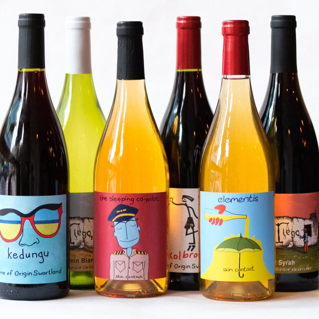 Boxcar Imports Presents: Intellego