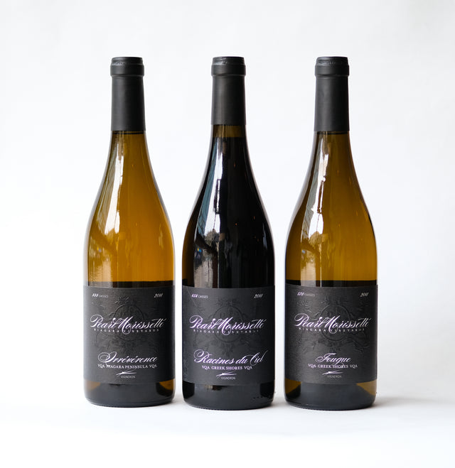 Pearl Morissette Exclusive Launch